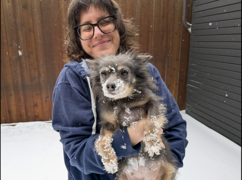 a person holds a dog